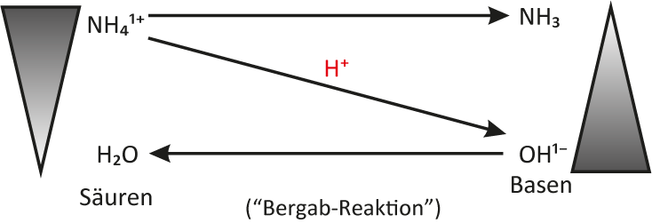 Protolyse-Schema: Ammoniumchlorid und Natriumhydroxid reagieren zu Ammoniak und Wasser