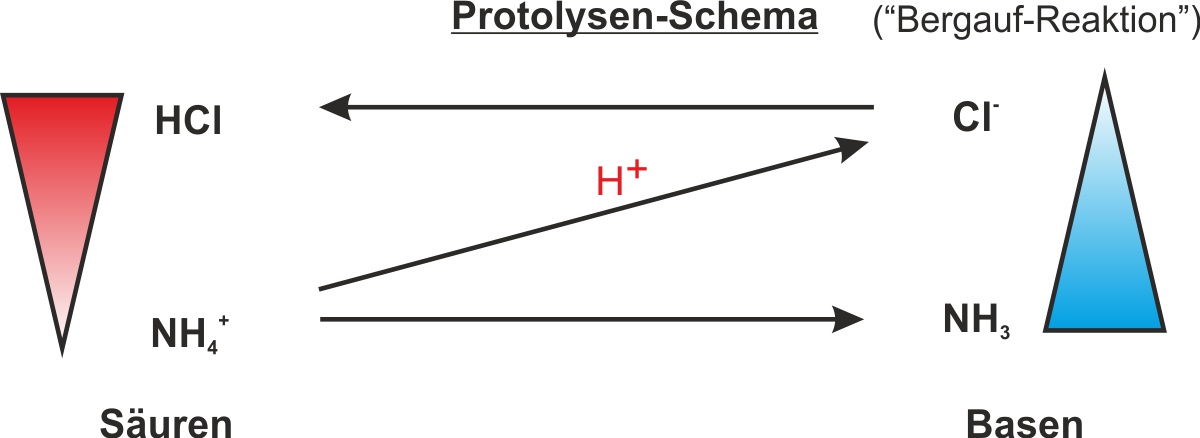 01 ta protolysenschema   zerlegung ammoniumchlorid