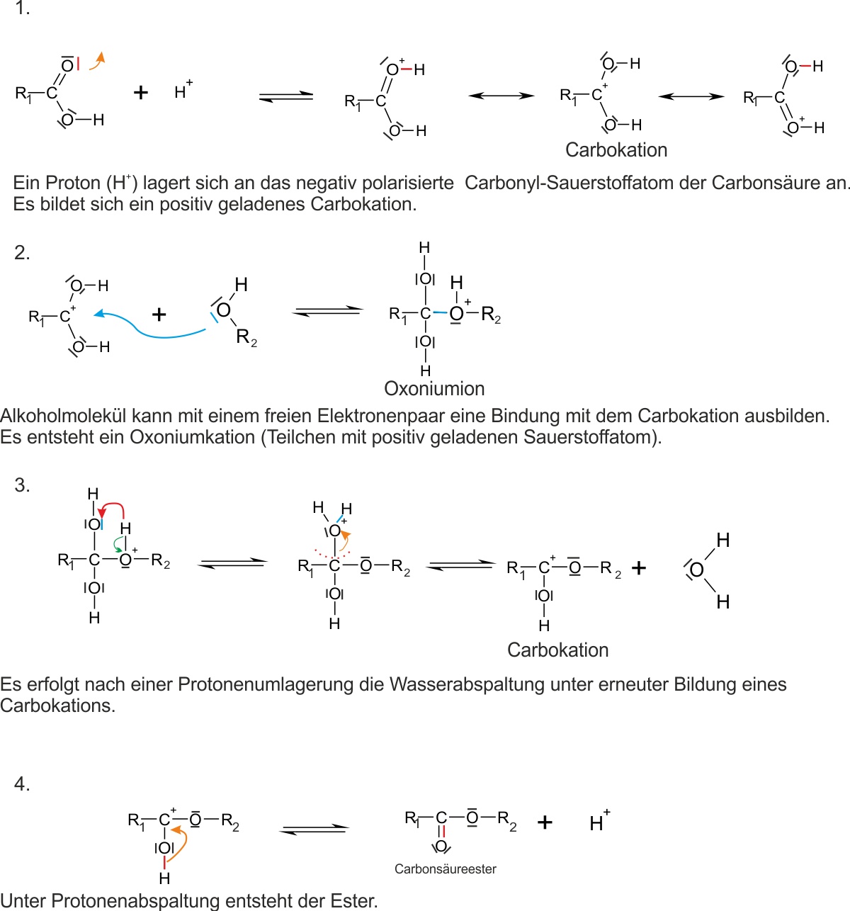 02 ta reaktionsmechanismus der esterbildung